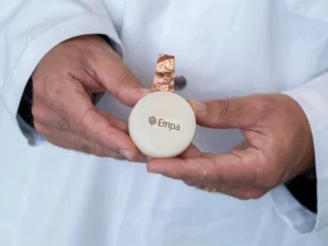 una batteria fatta con i funghi