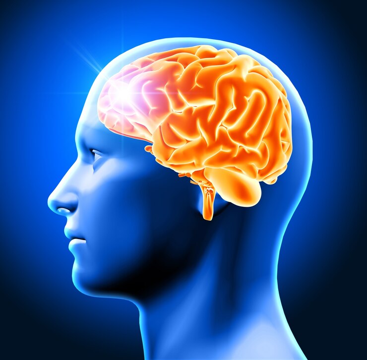 Perdiamo intelligenza: è declino cognitivo