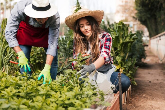 Il Messico punta alla sovranità alimentare