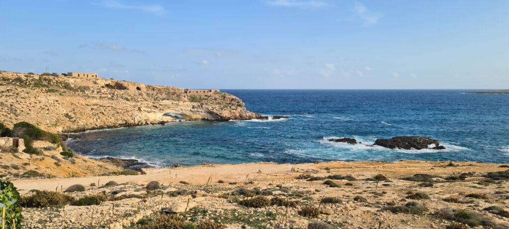 Un pipistrello africano a Lampedusa